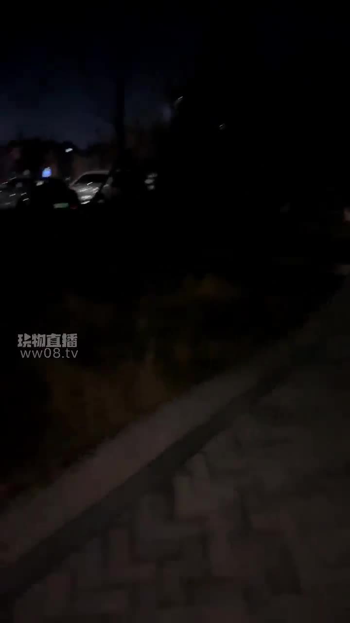 Da猫和奈米 双主户外调双奴 骑马遛狗狠踢踹暴力耳光口水喂食舔舐鞋底踩踏鞭打