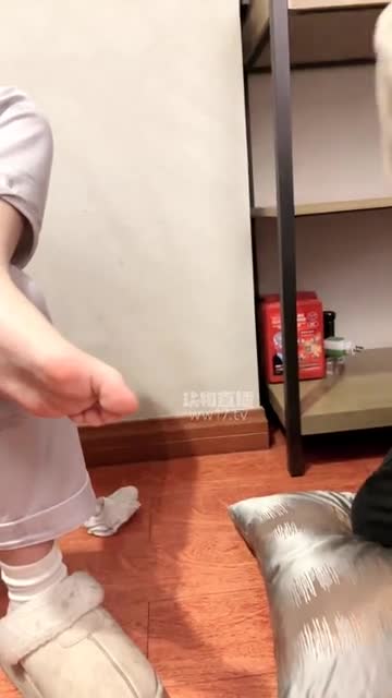 丸佳 调教双奴 舔脚深喉服侍