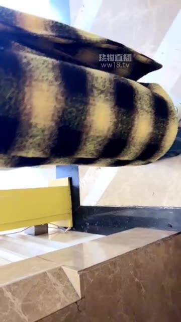 刘二狗 户外开发搭讪素人美女