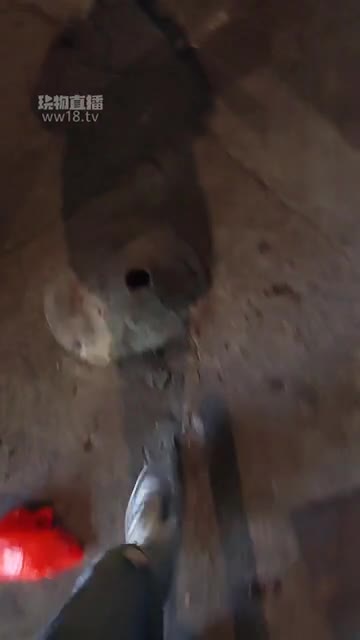 萝莉收割机 户外开发可爱小姐姐 表示刷新三观