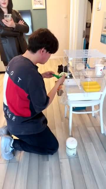 伊潼 严厉教训第一次体验当狗的奶狗 美足侍奉