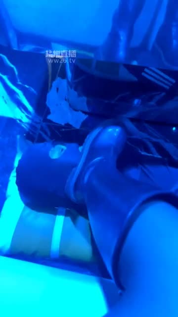 子琳 KTV互动调教贱狗