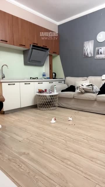 足彩馆 精神小妹超暴力超狠踢踹 鞭打跳踩贱狗赏赐舔鞋舔脚