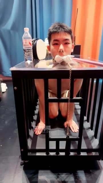 允儿 调教圈养奶狗 白袜裸足侍奉 狠踢裆鞭打训斥