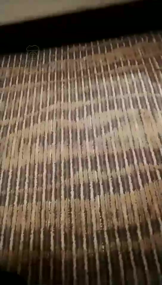 Verin维因 jk调呀 SP,喂食 舔脚 