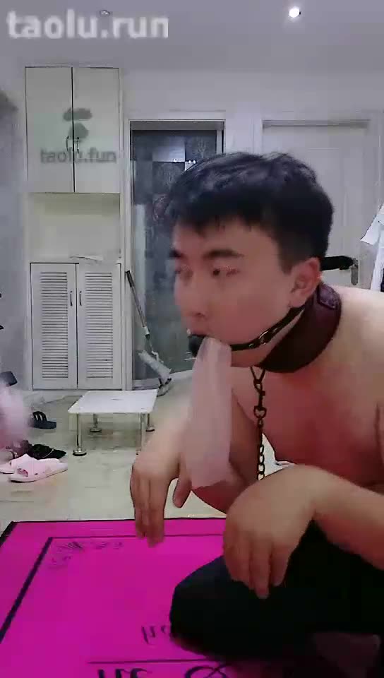 杭州暴萝莉 这个小贱狗真骚 