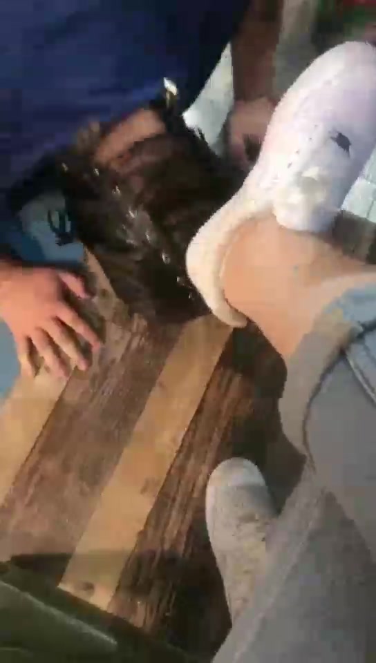 七双  调教一个千里迢迢来的贱货 