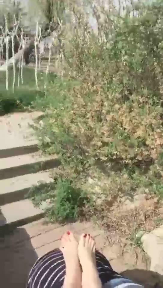 小贝 大白天的公园里公开舔脚 真是好狗