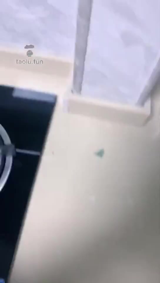 经典恋足口舌387